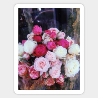 Beautiful Pink Roses Sticker